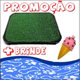 Sanitário Canino Higiênico Banheiro Para Cães Tapete +Brinde - Rb