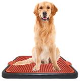 Sanitário Canino Higiênico Banheiro Para Cães Tapete Lavável - Rb