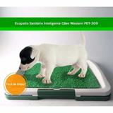 Sanitário Canino Sintético Pipi Dog Tapete Grama Higiênico 46x34 - Loja catarinense