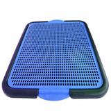 Sanitario Canino Xixi Pet Banheiro Para Cães Dog Pipi Azul - R2s