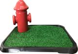 Sanitário Grama + Poste Postinho Hidrante Para Canino - Rb