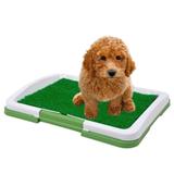 Sanitario para cães Puppy Potty Pad grama artificial CBR01119 - Commerce brasil