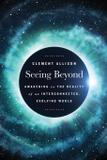 Seeing Beyond - Viking mountain publishing