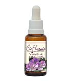 Sensação de Ansiedade - Bio Florais - 37 ml