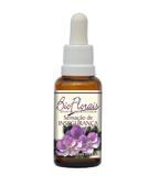 Sensação de Insegurança - Bio Florais - 37 ml