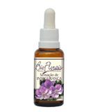 Sensação de Insegurança - Bio Florais - 37 ml