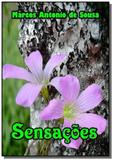 Sensacoes - Autor independente