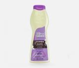 Shampoo Eco Shower Lavanda 500ml - Ecovet