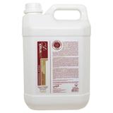 Shampoo Intensivo Limpeza profunda 5L - Pet Smack - Centagro
