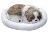 Shih Tzu de Pelúcia Que Respira - Chalesco