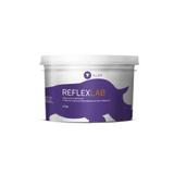 Silicone para Laboratório Reflex Lab Denso 900g - Yller