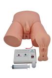 Simulador de Cateterização Vesical Bissexual Eletrônico - SDORF Scientific