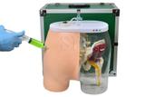 Simulador de Injeção Intramuscular no Glúteo e Visualização Óssea, Muscular e Nervosa - SDORF Scientific