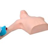 Simulador de Picc Line - SDORF Scientific