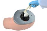 Simulador para Exame de Próstata - SDORF Scientific