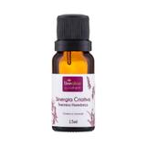Sinergia Natural Criativa 15ml Livealoe