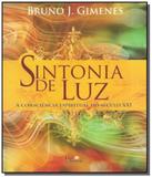 Sintonia de luz: a consciencia espiritual do secul - Luz da serra