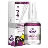 Sistema de Terapia Homeopet Diarreia Crônica Intestin 30 ml