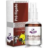 Sistema De Terapia Homeopet Doenças Do Fígado PróFígado 30 Ml - Real h