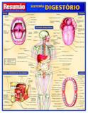 Sistema digestorio - Resumao