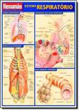 Sistema respiratorio - Resumao