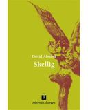 Skellig - Almond, david