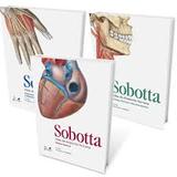 Sobotta atlas de anatomia humana - 3 volumes - Guanabara koogan