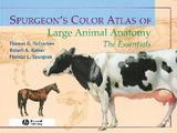 Spurgeons color atlas of large animal anatomy - Bla - blackwell (wiley)