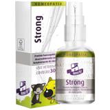 Strong Homeopet Melhora Imunidade Apetite Real H 30ml