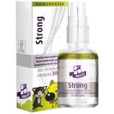 Strong Homeopet Melhora Imunidade Apetite Real H 30ml