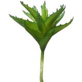 Suculenta Artificial Verde 18cm - Grillo