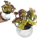 Suculenta Planta Artificial Ornamentacao Vaso Festa Decoracao (BSL-SH-3) - Braslu