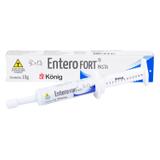 Suplemento Alimentar Entero Fort Pasta König 15g p/ Cães e Gatos - Konig