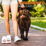 Suplemento Alimentar IMDerme 1000 Cães E Gatos 45 Capsulas - Nutripharme