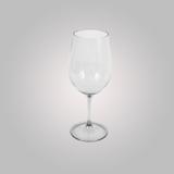 Taça em Acrílico para Vinho 23 cm KY715 600 ml - Infinity