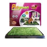 Tapete higiênico pet green com grama artificial furacaopet - Furacão pet