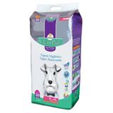 Tapete Higiênico São Francisco Clean Pads Super Premium - 30 un