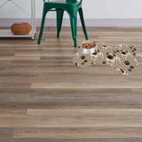 Tapete Pet Pug - Love decor