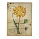Tela decorativa - Btc decor