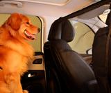 Tela Proteção de Carro p/ Cães e Gatos Pet TubLine Preta