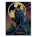 TELA WB DC OR BATMAN AND THE SIGN COLORIDO 30X1,5X40cm - Urban