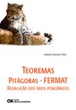 Teoremas pitagoras - fermat - Ciencia moderna