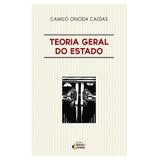 Teoria geral do estado - Ideias e letras