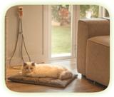 Termo Pet Digital Bioterm Manta Térmica Para Animais Terapia