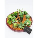 Terrário de mini cactos e suculentas