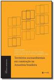 Territorios socioambientais em construcao na amazo - 7 letras