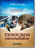 Tesouros Escondidos: Há Momentos na Vida em Que Precisamos Procurar um Tesouro... - Poiesis editora