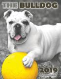 The Bulldog 2019 Calendar - Gumdrop press