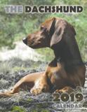 The Dachshund 2019 Calendar - Gumdrop press