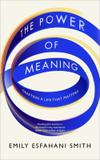 The Power Of Meaning - Crafting A Life That Matters - Rider